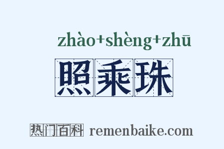 照乘珠是什么意思的图片